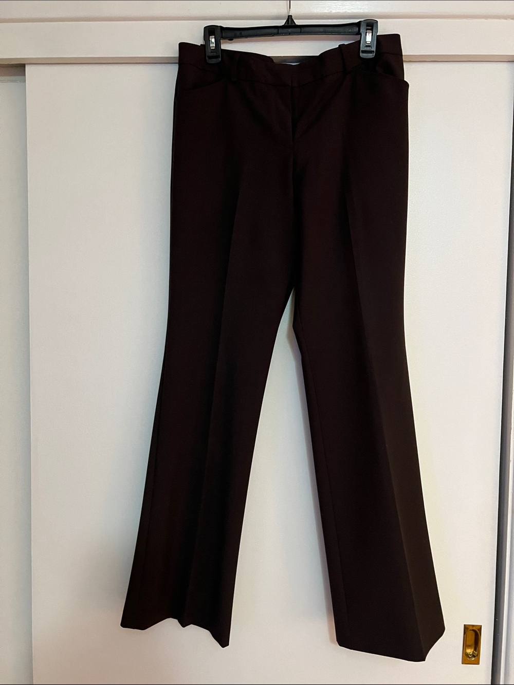 Classic Women's Wide-Leg Dress Pants in Dark Brown Worthington Modern Fit